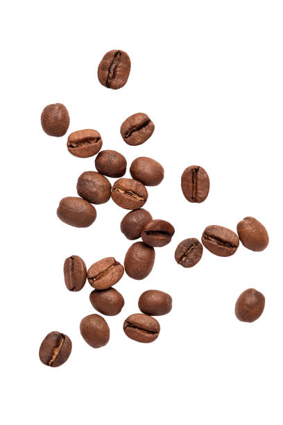 istock Freshly roasted coffee beans on a white background 2193947302