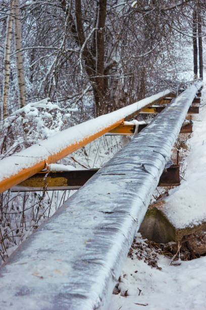 istock Thermal insulation water line supplying village 2193947685