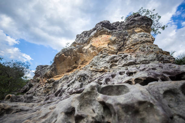 The Catimbau Valley (Portuguese: Vale do Catimbau) is located in the state of Pernambuco, Brazil. It is in the caatinga biome with sandstone caverns and caves in which prehistoric art has been found. It is in the semi-arid region of Pernambuco in the transition between the agreste and sertão vegetation zones, which makes a mosaic of landscapes with high biodiversity.It is Brazil's 2nd largest archaeological site. Among its natural attractions there are beautiful canyons, over 2,000 caves, and 28 registered areas with pre-historical cave paintings. One of the sites, Pedra da Concha (Shell Rock), displays cave art dating at least 6,000 years ago.