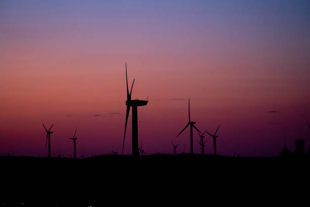 Wind turbine power farm at sunset