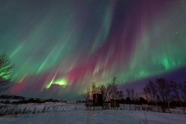 istock Aurora Borealis in Island 2193950778