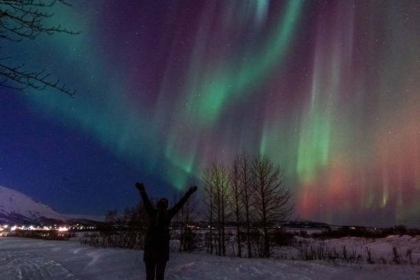 istock Aurora Borealis in Island 2193950784