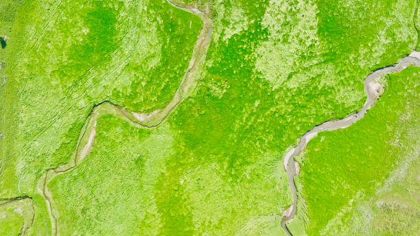 istock Grassland,Xinjiang,China,Asia. 2193950854