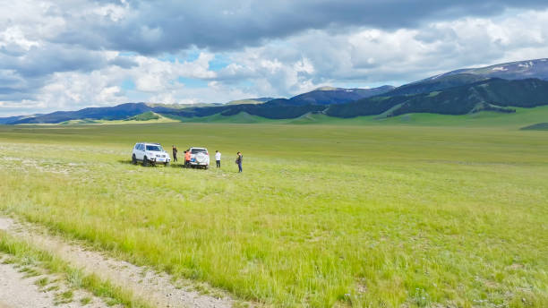 Boy standing in a meadow in the mountains looking at grazing farm animals
