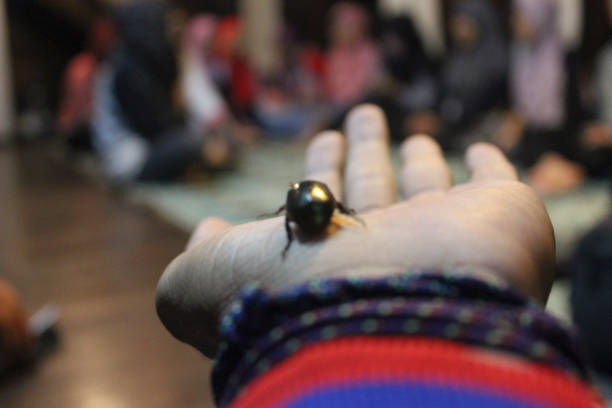Beetle showcased on a person's palm, shot with a shallow depth of field. The background hosts blurred figures, suggesting an indoor communal setting highlighting nature's intricate beauty.