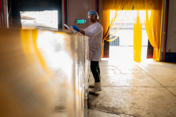 Dough, Bakery, Food Industry