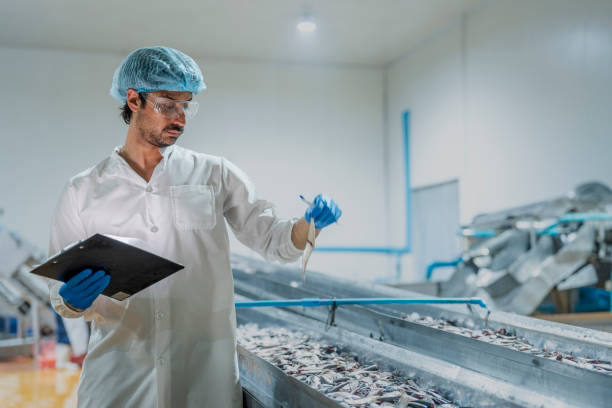 scientist Worker inspecting fish seafood processing equipment in a clean manufacturing setup Highlights of food quality assurance workflow efficiency and industrial technology.