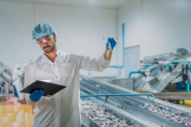 istock scientist Worker inspecting fish seafood processing equipment in a clean manufacturing setup Highlights of food quality assurance workflow efficiency and industrial technology. 2193956629