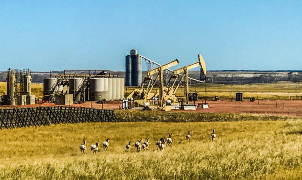 Oil pumps Coal load out