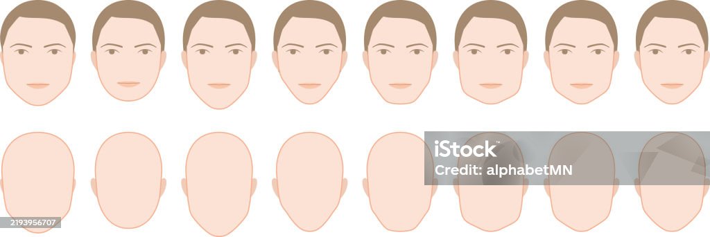 Face Pattern Class 6 Illustrations Of Male Face Shape Patterns Such As Oval And Long Faces ...