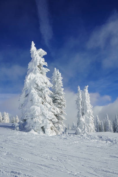 istock Steamboat Ski Resort 2193956909