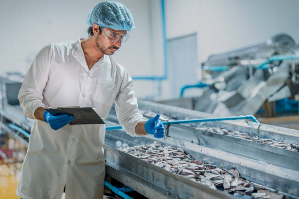 istock scientist Worker inspecting fish seafood processing equipment in a clean manufacturing setup Highlights of food quality assurance workflow efficiency and industrial technology. 2193956917