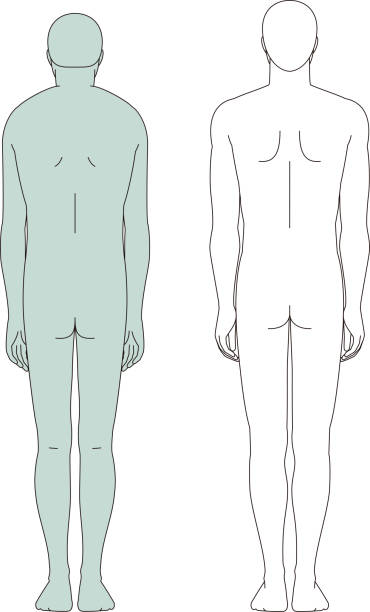 istock A man with a hunched back and a man with a beautiful standing posture. Full body illustration 2193957732