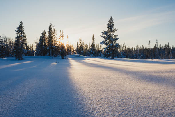 istock Golden sunlight streaming through snow-covered trees in Trilleva 2193960353