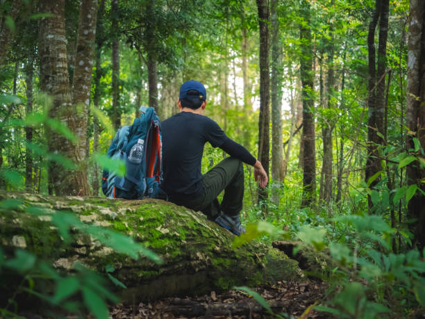 istock Solo hiker takes break to drink water while sitting on fallen tree in lush rainforest at Phu Soi Dao National Park, Thailand. 2193969469