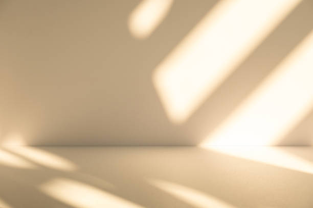 istock Studio style background wall decoration presentation uses white and beige tones. with shadows cast from a nearby window, concept creating a decorative 2193970148