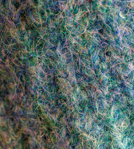 istock The image is of a fuzzy, green and blue texture 2193976018