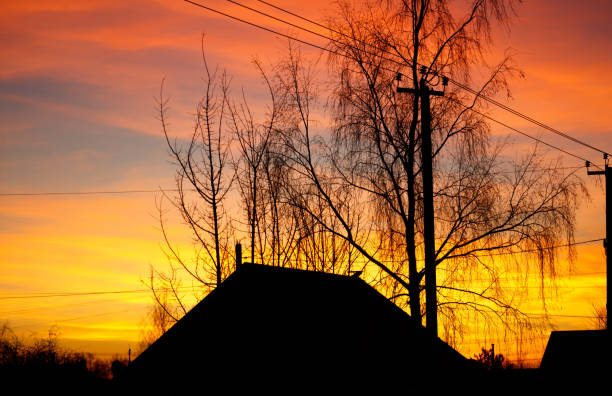 A house with a tree in front of it and a power line above it. The sky is orange and the sun is setting