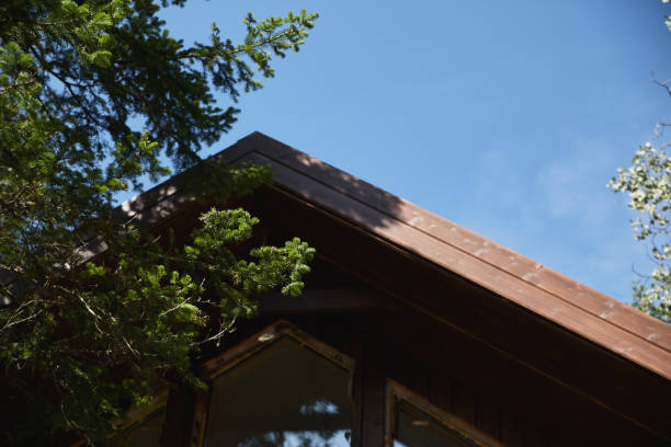 A wooden cabin roof is framed by vibrant green pine branches against a clear blue sky, creating a tranquil, nature-filled atmosphere.