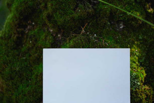 istock Blank paper on lush green moss in a tranquil outdoor setting 2193976496