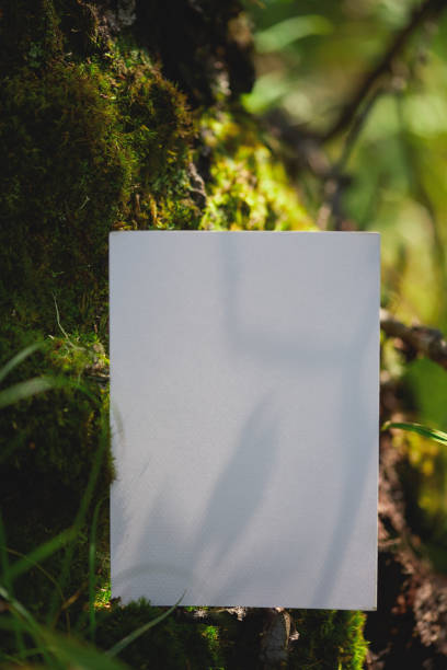 istock Blank sheet of paper resting on green moss in a forest setting 2193976501