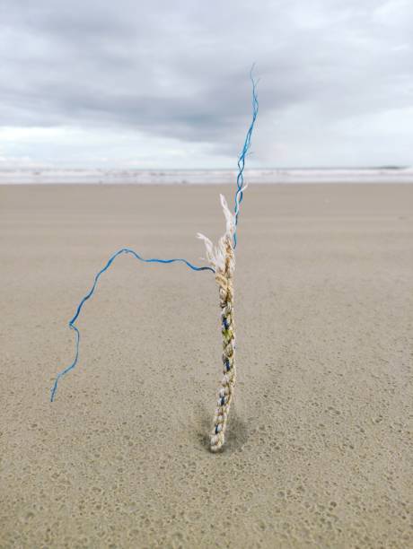 A rope planted upright in the sand on a beach