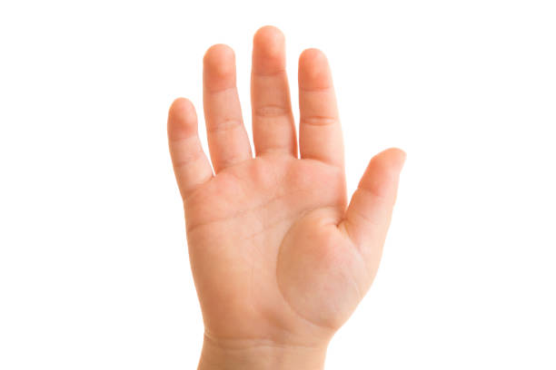 Close up of the palm of a mature female hand