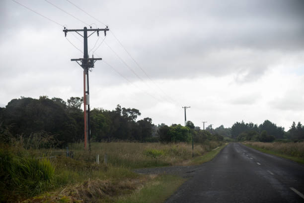 istock Power posts and power cables along a country road. Taranaki. 2193987001