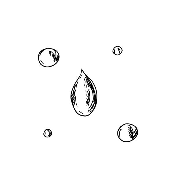 istock Oil Drops Graphic Sketch. Hand drawn Vector illustration on a white background. Line art for product, cosmetic and cuisine design. 2193987585