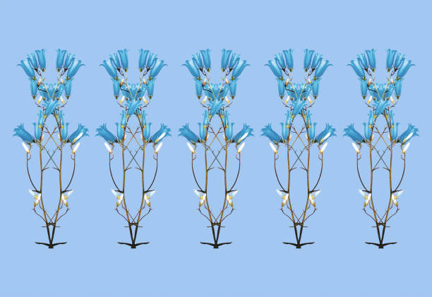 abstract ornament blue bluebell flowers isolated on blue background arranged in a row