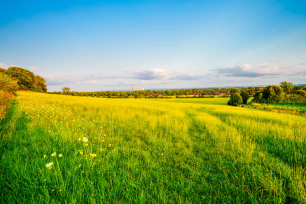 Landscape with fields near Dolberg, Ahlen. Nature on Halberg.