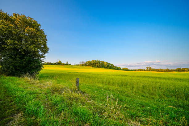 istock Landscape with fields near Dolberg, Ahlen. Nature on Halberg. 2193997041