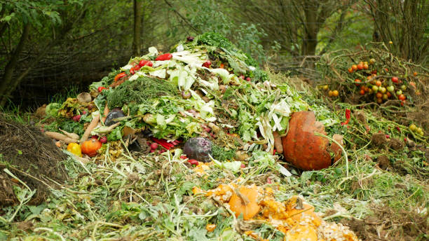 istock Compost vegetable bio farm autumn rotten tomato pumpkin pepper lettuce cabbage watermelon pile mold fungi ecology farming waste food organic rot rust vegetables plant Europe 2193999875