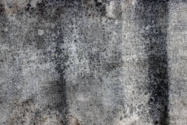 Stained Fabric Texture with Vintage Aged Appearance