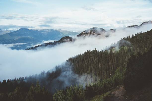Misty mountain landscape with lush green forests and clouds enveloping the peaks, creating a serene and tranquil atmosphere.