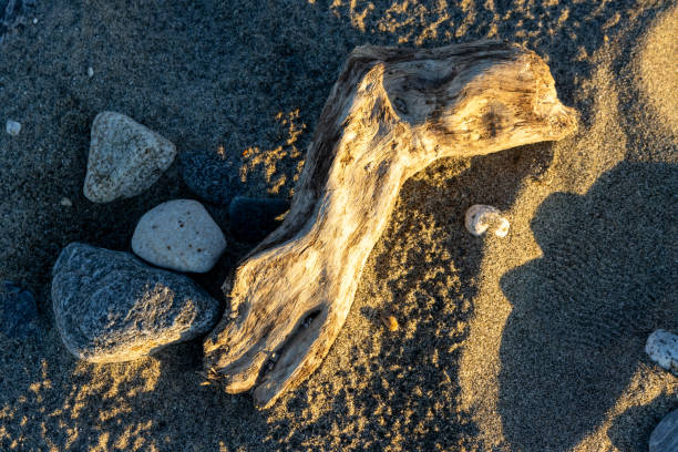 Abstract view on the beach. Dark color of the sand. Washed out piece of wood with a golden color touch during sunset. Spadafora, Sicily, Italy.