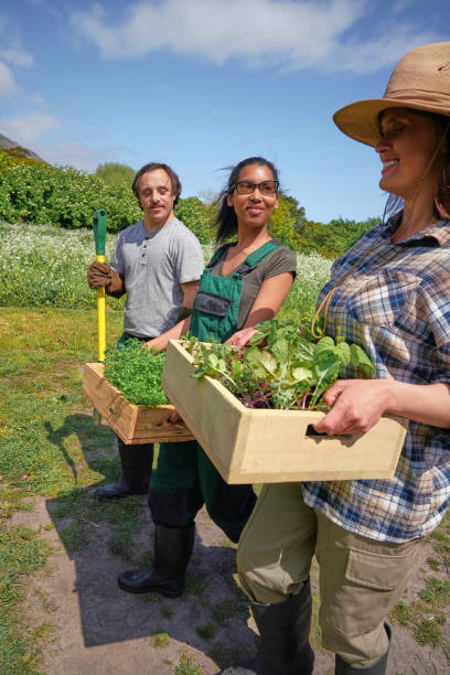 istock Two women carrying boxes with vegetables in garden 2194003200