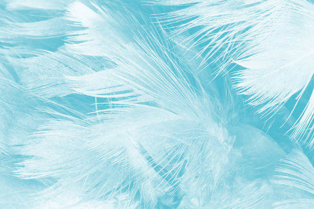 istock Beautiful watercolor green  blue feather pattern  texture background 2194003506