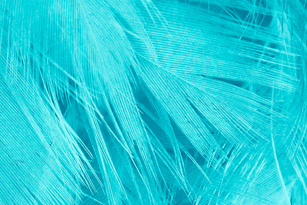 istock Beautiful watercolor green  blue feather pattern  texture background 2194003892