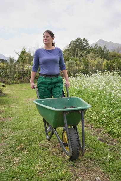 istock Female farmer pushing wheelbarrow in garden 2194004162