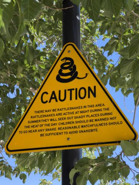 istock Yellow caution sign warning about rattlesnakes near green trees 2194004440