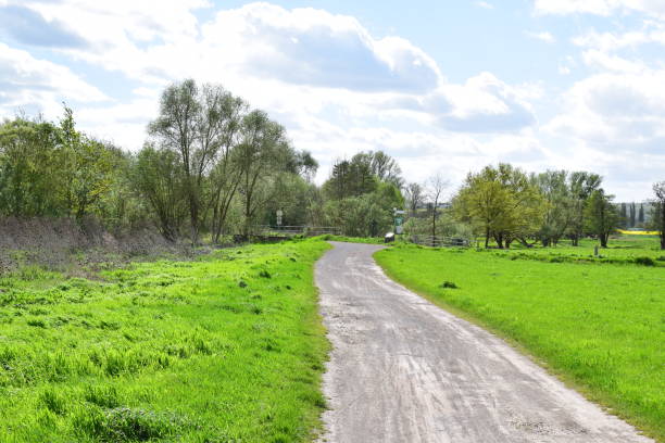 istock dirt road in green swampland 2194004569