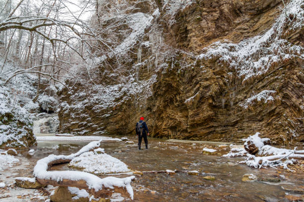 a male tourist with a backpack travels along a forest stream on a winter day