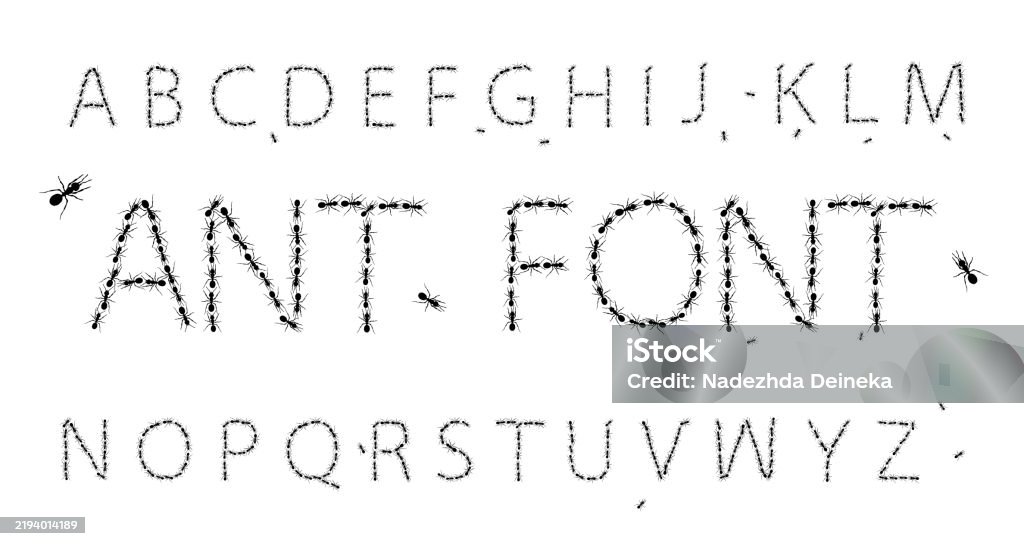 Ant In Cursive Ant Font Realistic Black Ant On White Background Path And Ants Vector ...