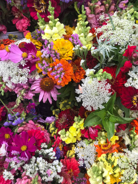 istock Colorful Background Of Cut Flowers 2194020312
