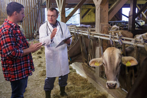 istock Veterinarian helping farmer with his livestock 2194020822