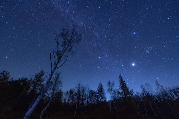 istock The starry sky of the plateau 2194022611
