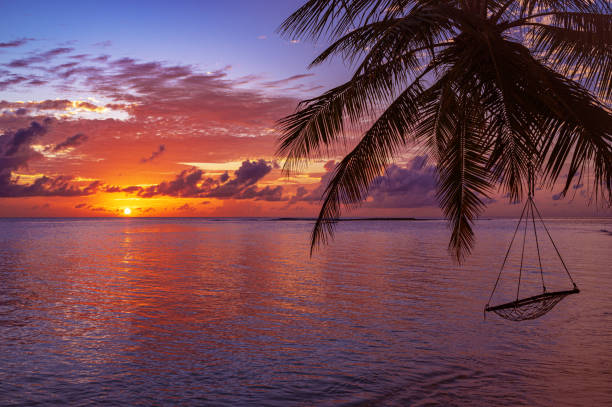 istock Tropical paradise beach with dramatic sky and colorful clouds during the sunrise 2194023999