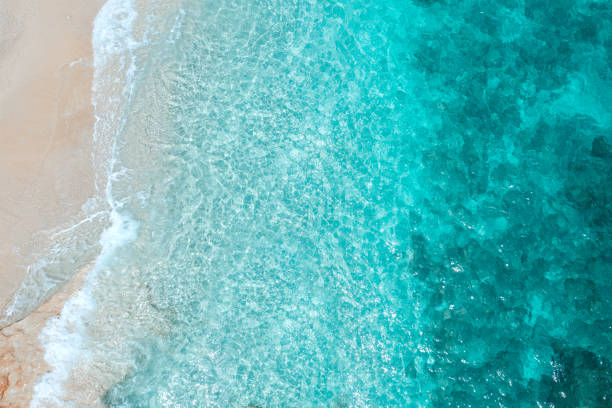 A bird's eye view of rolling waves on the beach