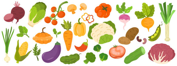 2593_vegetable_setnew - rzepa stock illustrations